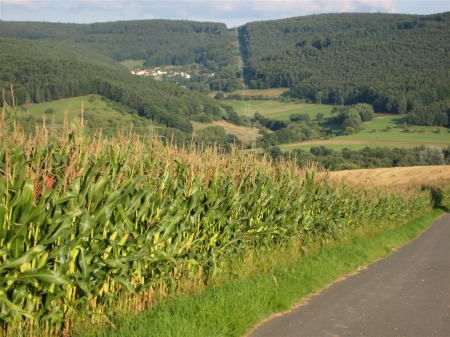 Blick nach Eschau-Wildenstein