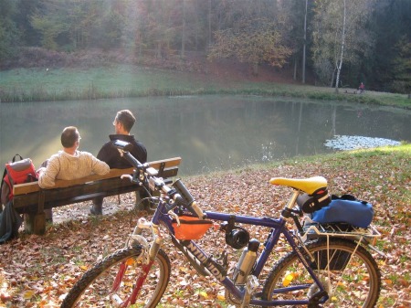 Der Waldsee in Heimbuchenthal