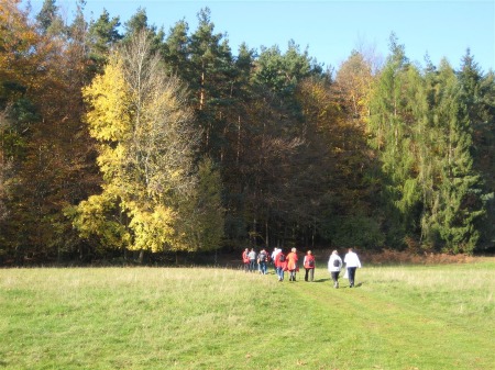 Spessart bei Heimbuchenthal-Volkersbrunn